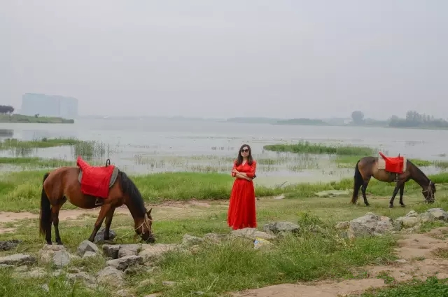 美丽的郑州北龙湖湿地公园,郑州北龙湖湿地公园初冬游记