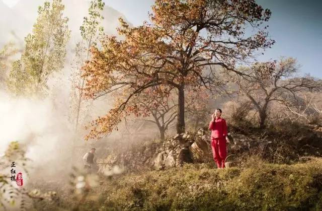 三生烟火乱云妆329,三生烟火乱云妆是何意