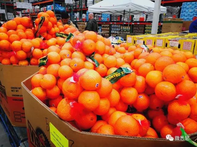 澳洲超市东西的价格,澳洲超市真实物价