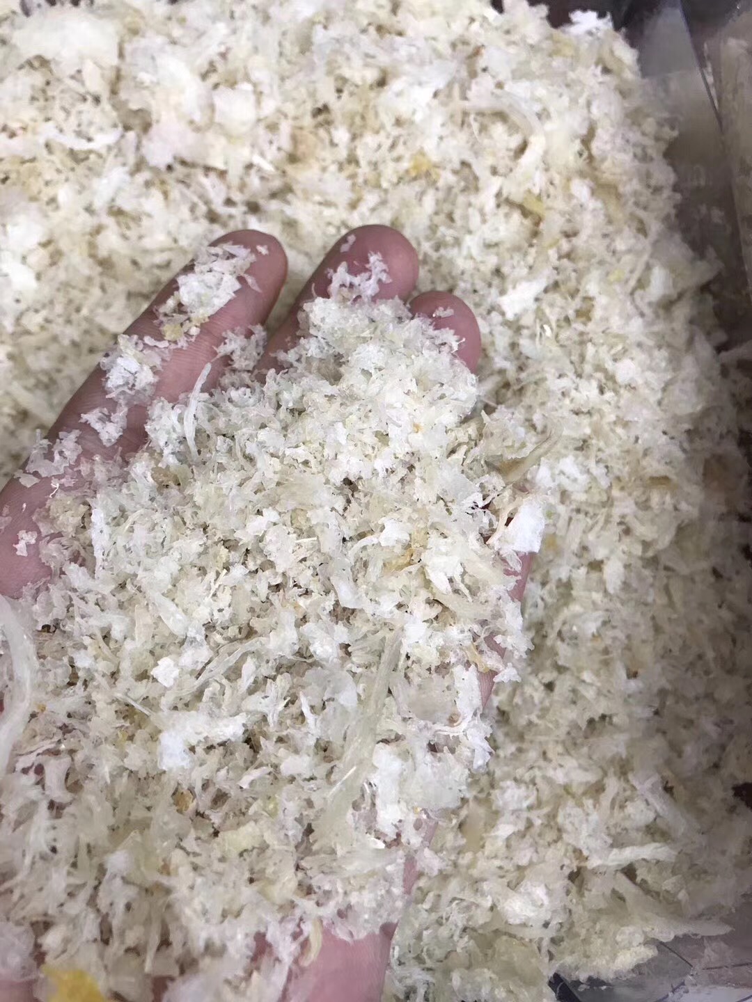 燕窝降价,燕窝涨价