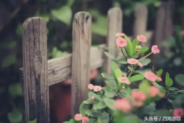 佛山南风古灶属于什么文化遗产,佛山南风古灶景点介绍图