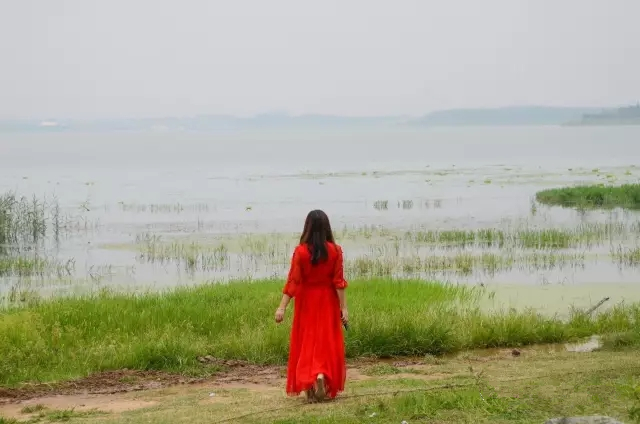 美丽的郑州北龙湖湿地公园,郑州北龙湖湿地公园初冬游记