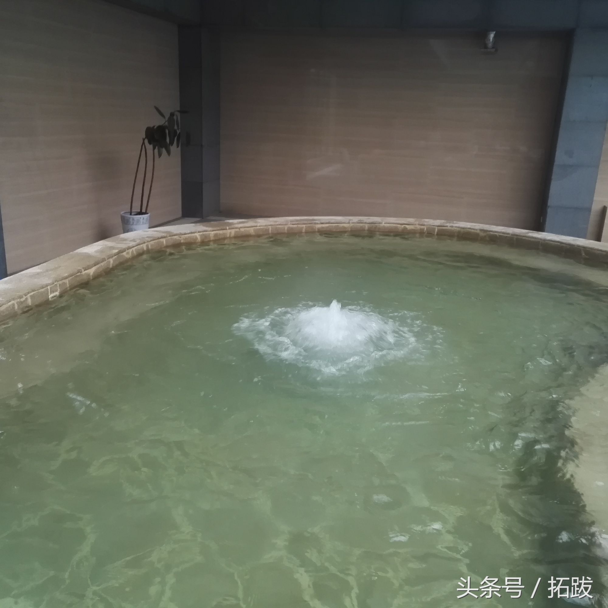 西安周边适合泡私人温泉的地方,西安周边温泉一日游的绝佳去处