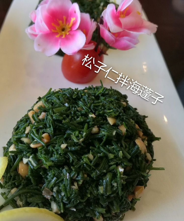 海蓬子菜营养价值,海蓬子如何吃