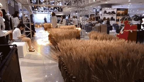 麦步远东开放式秀场,金色麦田间解锁最全秋季穿搭