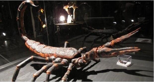 盘点灭绝又重生的远古巨兽,已经灭绝的远古海里的巨兽