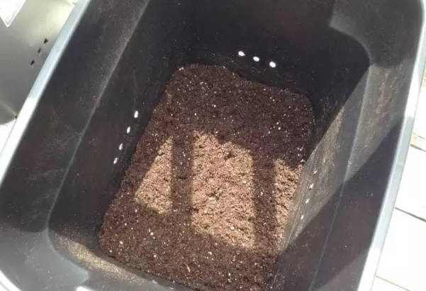 用塑料瓶自制植物自动浇水器,花盆土干了自动浇水器