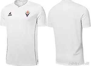 意甲紫百合是哪支球队,意甲紫百合完整视频