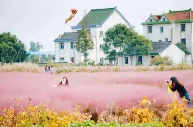 合肥瓜牛公园丛林探险,合肥瓜牛公园到底好不好玩