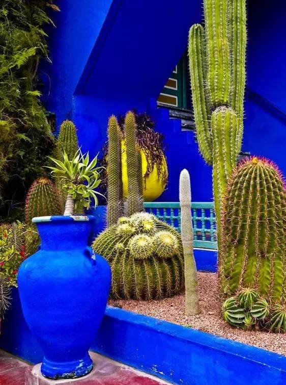 时装大师圣罗兰的秘密花园到底什么样？