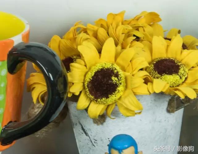 尼康z30腾龙适马70-200哪个好,腾龙适马2870镜头测评