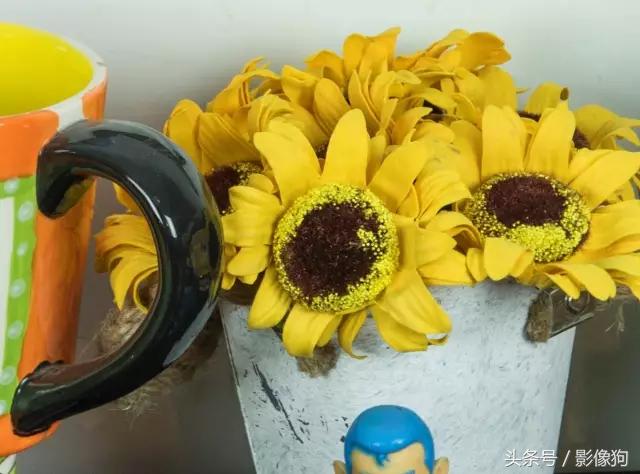 尼康z30腾龙适马70-200哪个好,腾龙适马2870镜头测评