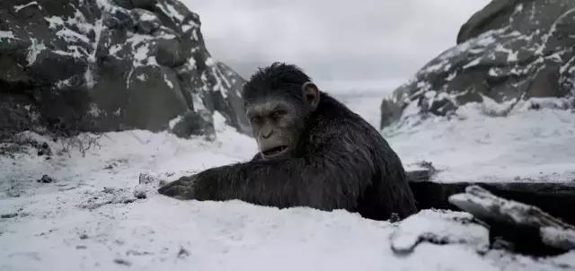 猩球崛起4观影,猩球崛起3背后的秘密