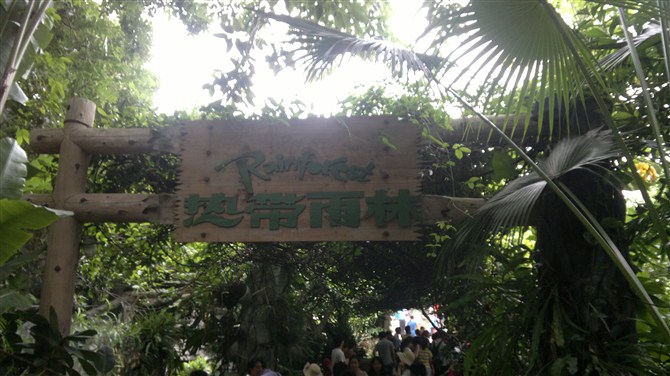 深圳青青世界图片,深圳青青世界校服