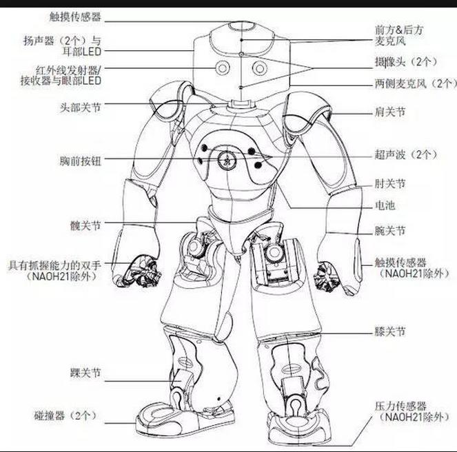 机器人最新行业分析,机器人全自动化趋势分析