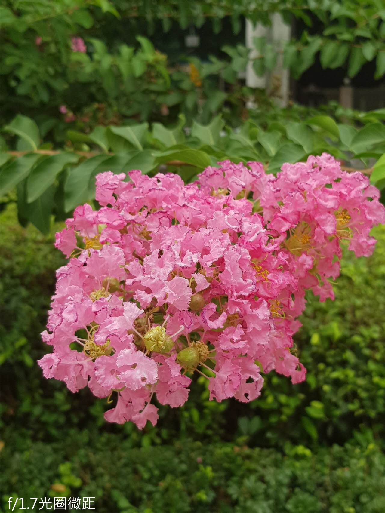 三星note8评测玩游戏,三星note8评测处理器