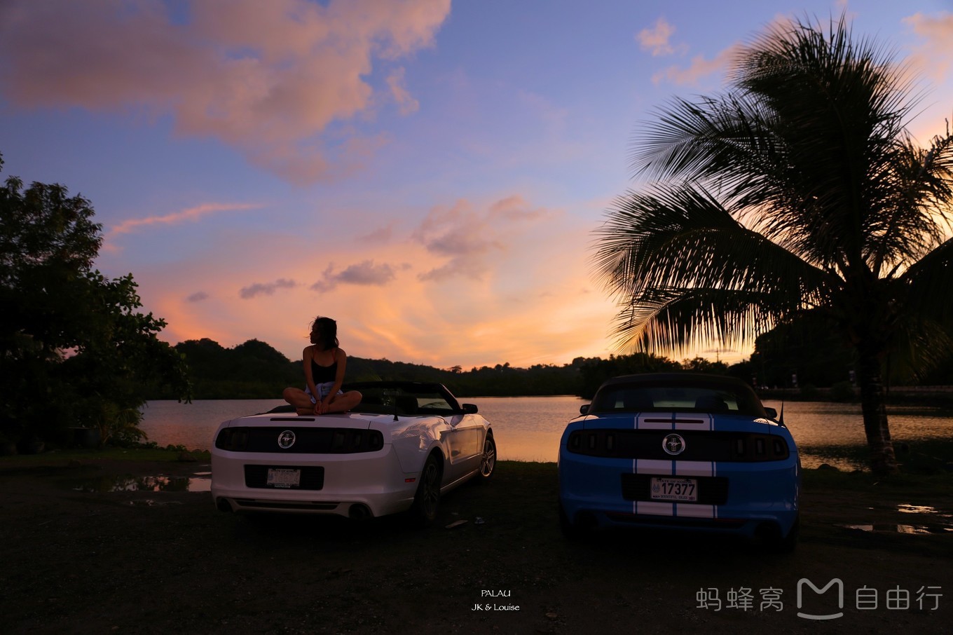 帕劳出海环岛旅游攻略,帕劳旅行攻略大全最新