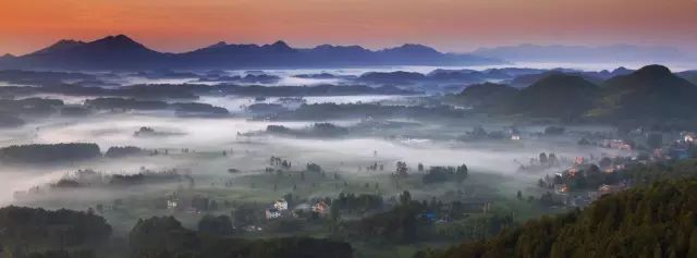 凤冈遵义茶,贵州遵义凤冈锌硒茶