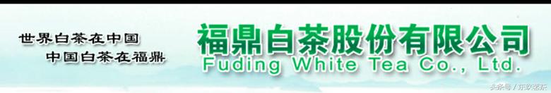 白茶股份最新案例,白茶股份上市