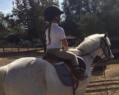 贝小七美照大盘点,贝小七变成小才女