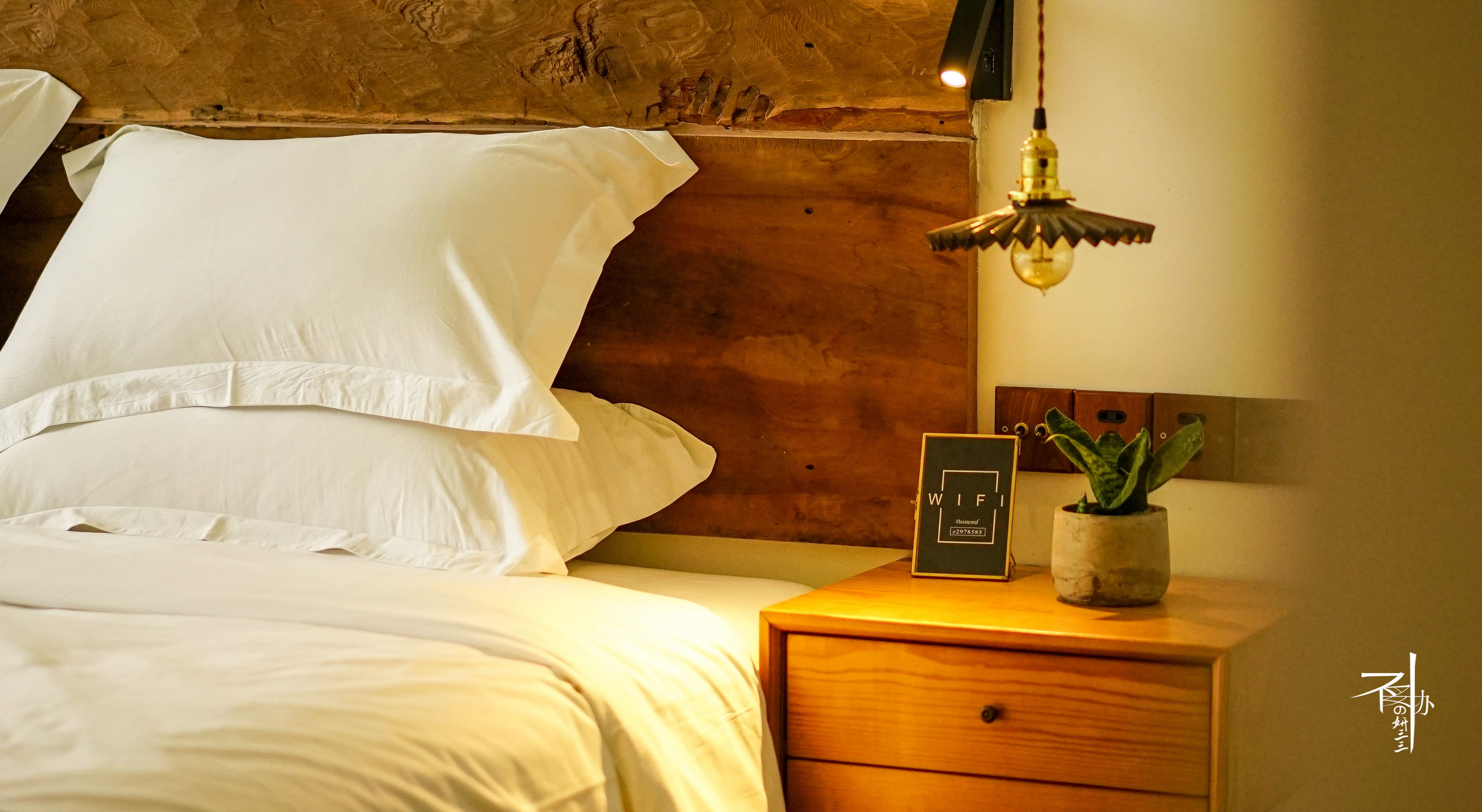 三三睡民宿｜留驻丽水此画中，沉醉不知归