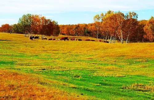 秦皇岛秋景最好的地方 (秦皇岛周边十月赏秋色的地方)
