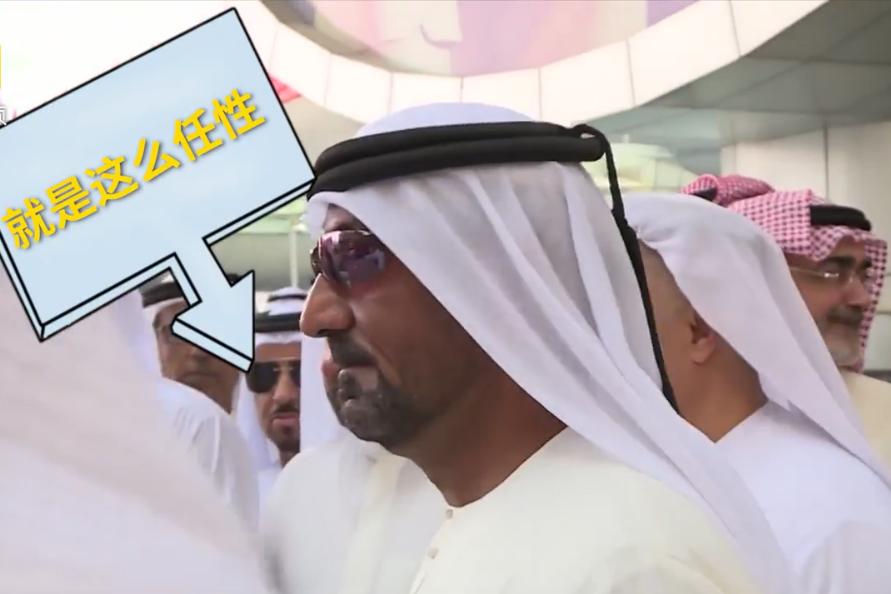 特斯拉 迪拜土豪 (迪拜土豪200辆特斯拉)