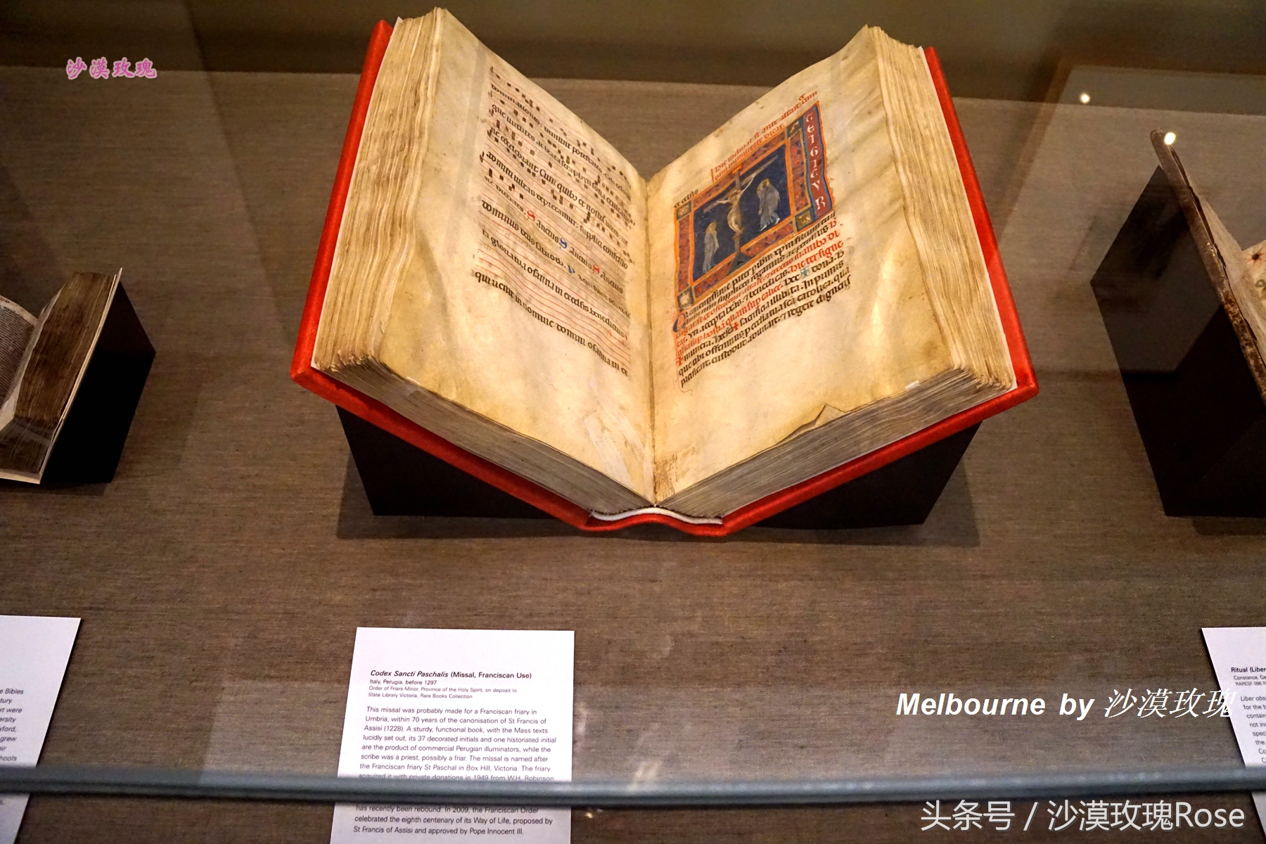 这座图书馆任何人都可以免费借阅,因何成了澳洲“网红”?