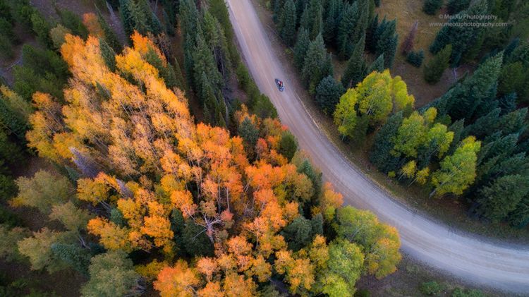 就让我随你去,去俯瞰多姿多彩的大千世界