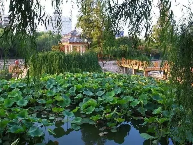 去郑州哪里旅游最便宜又好玩,郑州值得旅游的地方有哪些