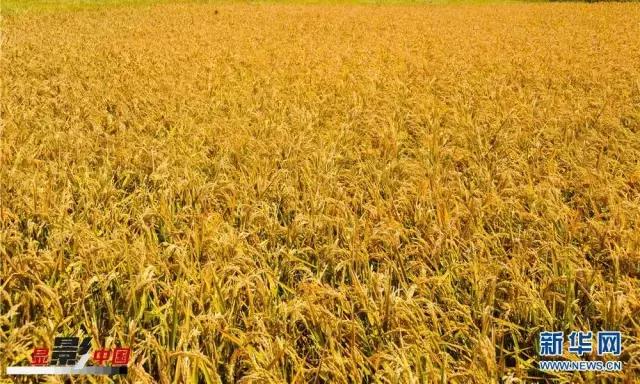 春分和秋分节气,春分秋分节气