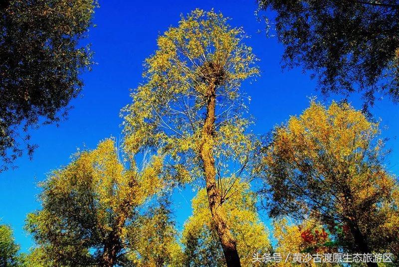 国庆假期去宁夏旅游需要准备什么,国庆宁夏三天两晚旅游攻略