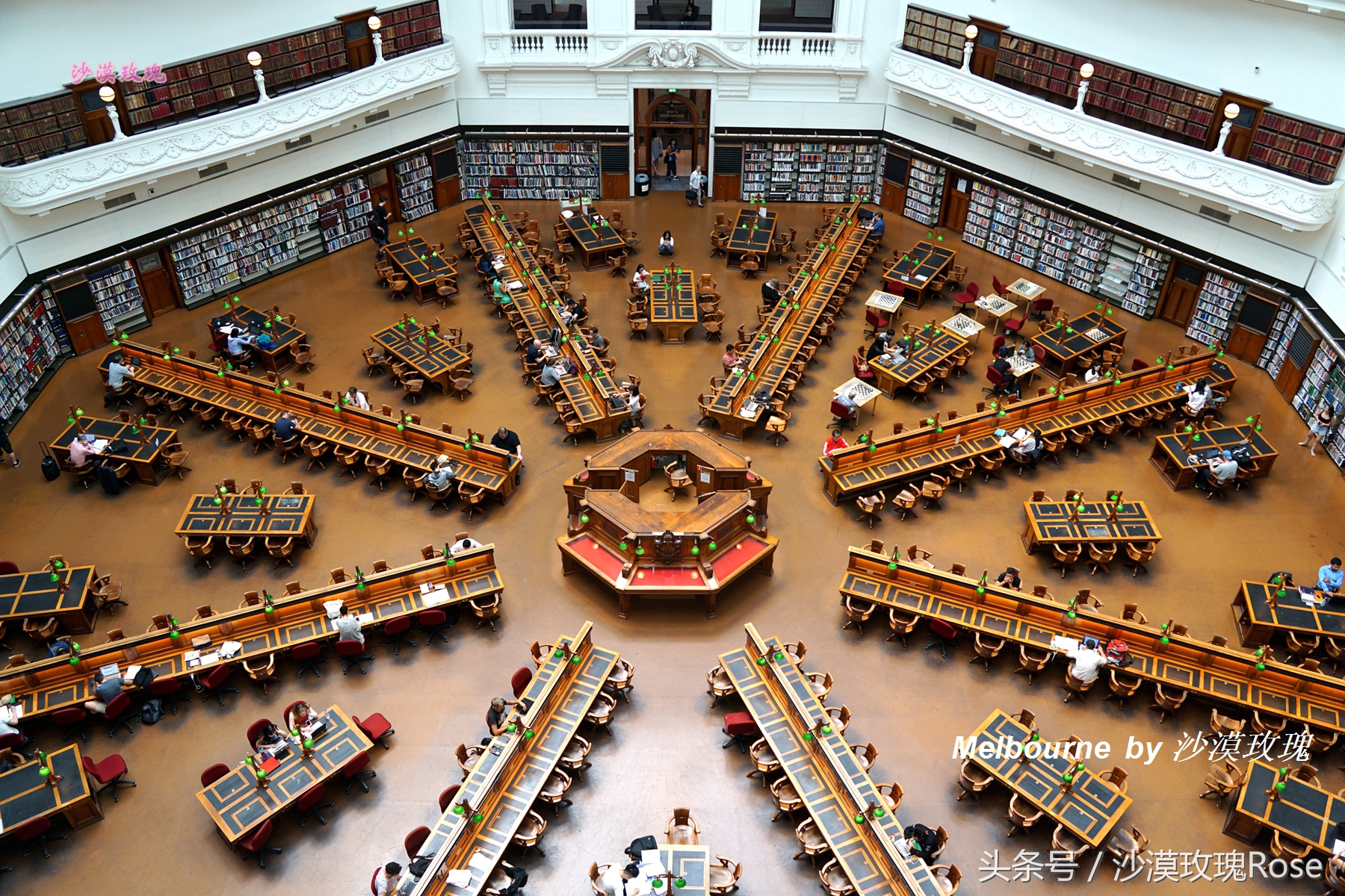 这座图书馆任何人都可以免费借阅,因何成了澳洲“网红”?