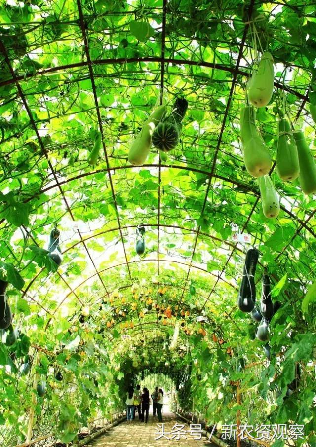 山东农资行业,农资市场存在的问题