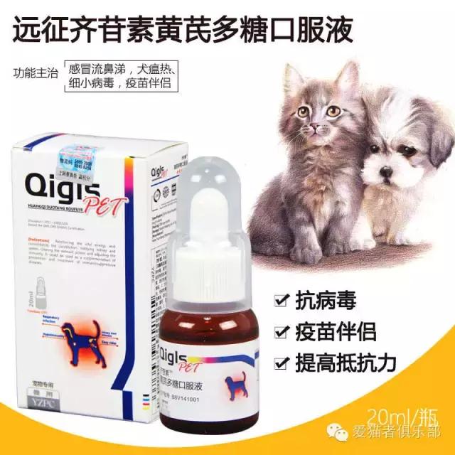 猫咪药品推荐,猫咪平替药品