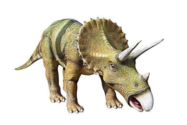 恐龙世界大百科解析,恐龙大百科解读