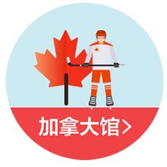 阿里在国际市场实力怎么样,阿里在世界上多厉害