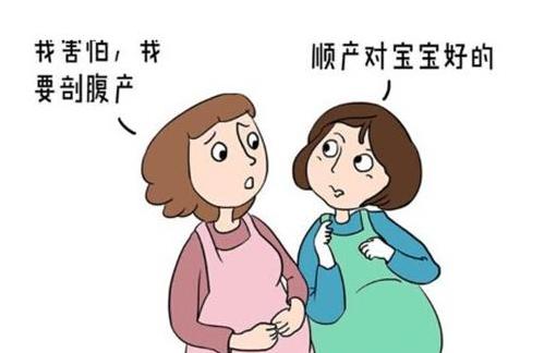 贝喜月子会所海口店,杭州贝喜月子中心价格