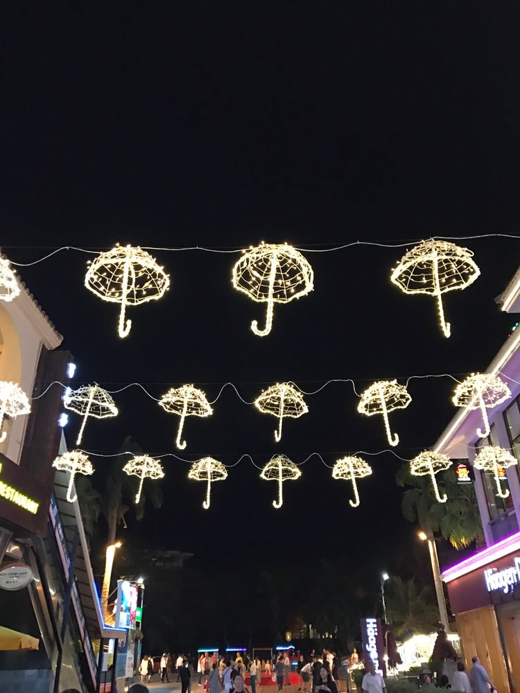 北纬18度的爱意味着什么,北纬18度的爱