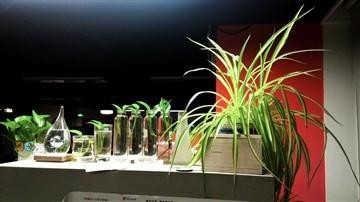 小米平板2win10版,小米平板日常看视频体验