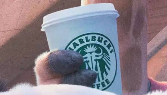 你真的看懂了疯狂动物城吗,一张图看懂疯狂动物城