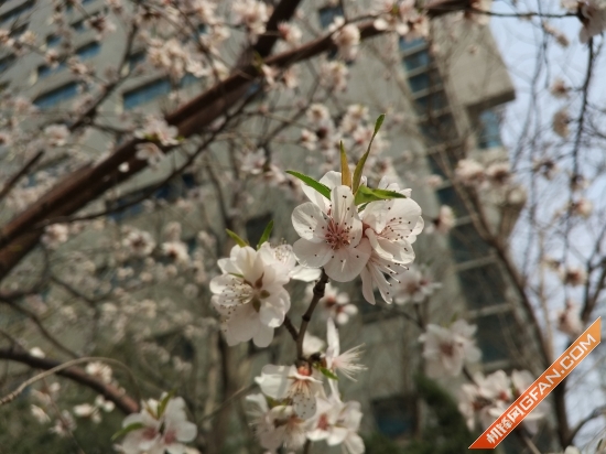 好用的小米产品推荐,实用和耐用手机推荐哪款