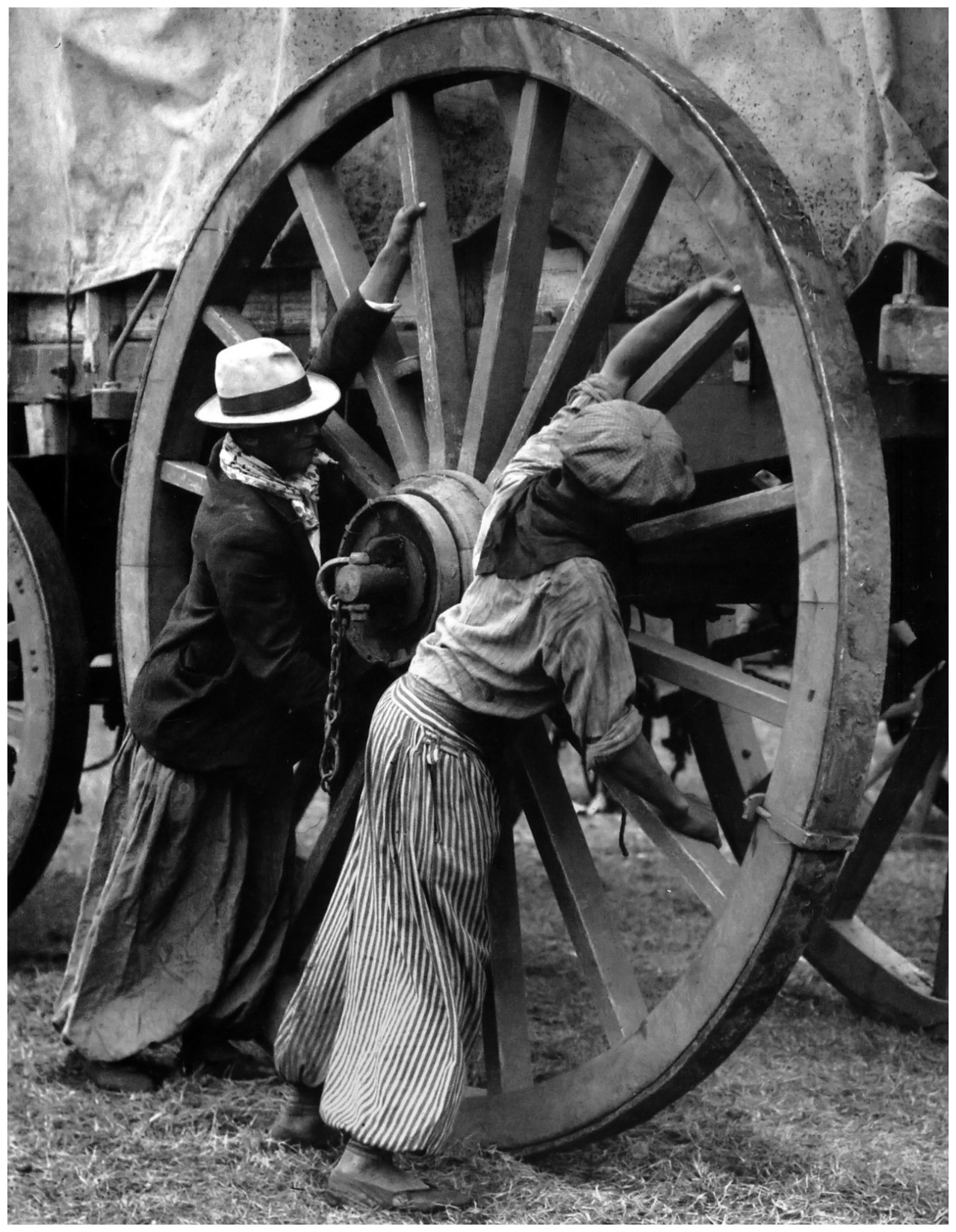 要看见自由和快乐，就不会让痛苦毁掉梦想