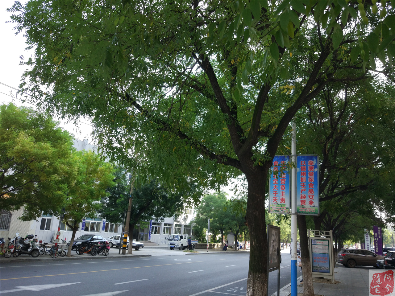 农村常见可以止痒的植物,农村一种常见植物能祛湿止痒