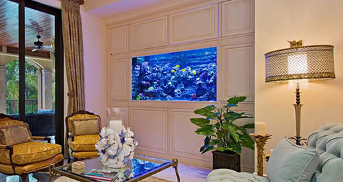 新手怎么挑选一款好点的鱼缸,品牌鱼缸和定制鱼缸