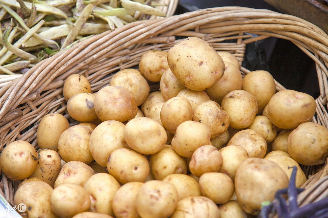 农村最常见的草能止痒,农村常见的止痒植物外用