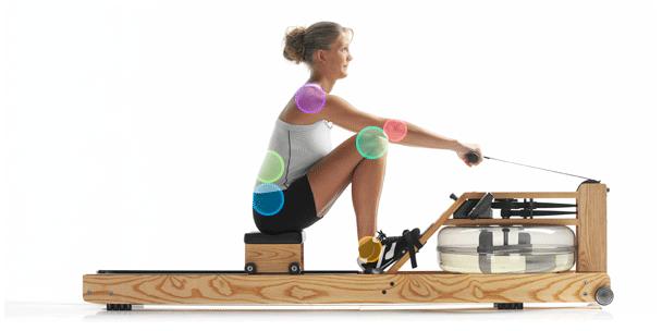 健身房有哪些减脂瘦身神器,减肥健身动作器械有哪些