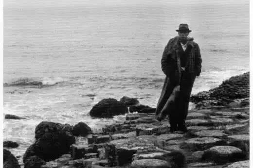 teamLab你颤抖吧!《艺术航海大型回顾展》强势登陆