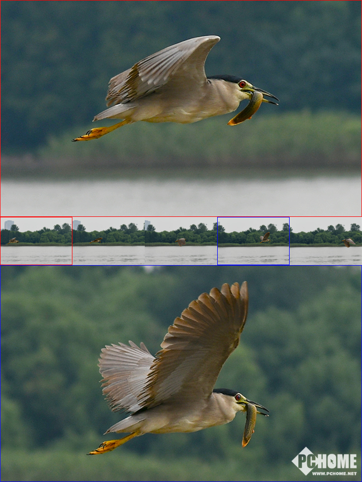 尼康d850全画幅高端相机怎么选,尼康全画幅单反d850