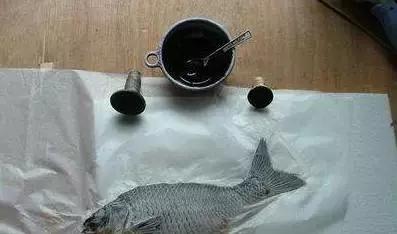 唯美鱼手绘画,唯美鱼手绘高级